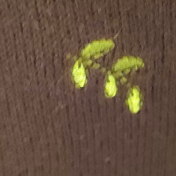 C J Banks Brown Cardigan Sweater - Picture 10 of 15